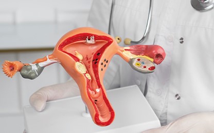 Op. Dr. Ahmed Hicran FAKRADEN, Kızlık Zarı Ankara, Kızlık Zarı Dikimi Ankara, Kızlık Zarı Onarımı Ankara, Zar Diktirme Ankara, Kalıcı Kızlık Zarı Dikimi